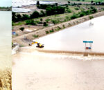 લાઠી-લીલીયામાં જળ ક્રાતિ : ગાગડીયો નદી પરના ચેકડેમો છલકાયા