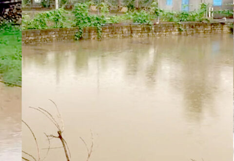 જાફરાબાદના કડીયાળીમાં 25 વિઘા ખેતરમાં એક વિઘાનું તળાવ બનાવ્યું